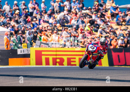 Melbourne, Australia. 24 Febbraio, 2019. MELBOURNE, Australia - 24 febbraio: Ryuichi Intanto Kyionari 23 equitazione per Red Bull Honda World Superbike Team durante il Mondiale Superbike TISSOT Superpole gara al 2019 MOTUL FIM Superbike World Championship sul circuito australiano di Phillip Island il 24 febbraio 2019. Credito: Dave Hewison sport/Alamy Live News Foto Stock