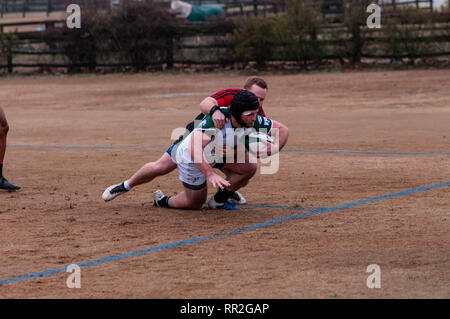 Febbraio 23, 2019 - pini del sud, North Carolina, USA - Febbraio 23, 2019 - pini del sud, N.C., STATI UNITI D'AMERICA - Carolinas Geographic Rugby Unione Uomini di Azione di rugby tra i pini del sud ''Grande coni'' e Charleston (Sud Carolina) fuorilegge Rugby Football Club a campi di Twin Farm. Pini del sud shut-out Charleston, 105-0. (Credito Immagine: © Timothy L. Hale/ZUMA filo) Foto Stock