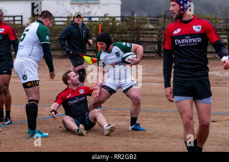 Febbraio 23, 2019 - pini del sud, North Carolina, USA - Febbraio 23, 2019 - pini del sud, N.C., STATI UNITI D'AMERICA - Carolinas Geographic Rugby Unione Uomini di Azione di rugby tra i pini del sud ''Grande coni'' e Charleston (Sud Carolina) fuorilegge Rugby Football Club a campi di Twin Farm. Pini del sud shut-out Charleston, 105-0. (Credito Immagine: © Timothy L. Hale/ZUMA filo) Foto Stock