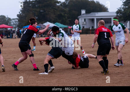 Febbraio 23, 2019 - pini del sud, North Carolina, USA - Febbraio 23, 2019 - pini del sud, N.C., STATI UNITI D'AMERICA - Carolinas Geographic Rugby Unione Uomini di Azione di rugby tra i pini del sud ''Grande coni'' e Charleston (Sud Carolina) fuorilegge Rugby Football Club a campi di Twin Farm. Pini del sud shut-out Charleston, 105-0. (Credito Immagine: © Timothy L. Hale/ZUMA filo) Foto Stock