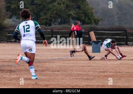 Febbraio 23, 2019 - pini del sud, North Carolina, USA - Febbraio 23, 2019 - pini del sud, N.C., STATI UNITI D'AMERICA - Carolinas Geographic Rugby Unione Uomini di Azione di rugby tra i pini del sud ''Grande coni'' e Charleston (Sud Carolina) fuorilegge Rugby Football Club a campi di Twin Farm. Pini del sud shut-out Charleston, 105-0. (Credito Immagine: © Timothy L. Hale/ZUMA filo) Foto Stock