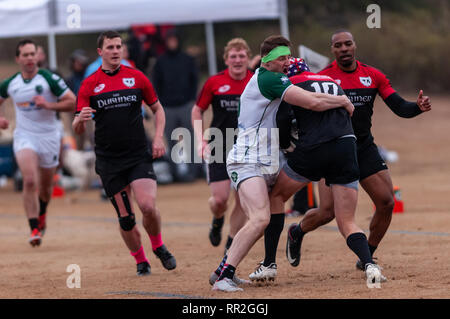 Pini del sud, North Carolina, Stati Uniti d'America. Il 23 febbraio, 2019. Febbraio 23, 2019 - pini del sud, N.C., STATI UNITI D'AMERICA - Carolinas Geographic Rugby Unione Uomini di Azione di rugby tra i pini del sud ''Grande coni'' e Charleston (Sud Carolina) fuorilegge Rugby Football Club a campi di Twin Farm. Pini del sud shut-out Charleston, 105-0. Credito: Timothy L. Hale/ZUMA filo/Alamy Live News Foto Stock