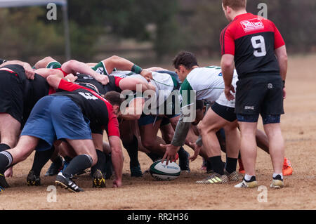 Pini del sud, North Carolina, Stati Uniti d'America. Il 23 febbraio, 2019. Febbraio 23, 2019 - pini del sud, N.C., STATI UNITI D'AMERICA - Carolinas Geographic Rugby Unione Uomini di Azione di rugby tra i pini del sud ''Grande coni'' e Charleston (Sud Carolina) fuorilegge Rugby Football Club a campi di Twin Farm. Pini del sud shut-out Charleston, 105-0. Credito: Timothy L. Hale/ZUMA filo/Alamy Live News Foto Stock