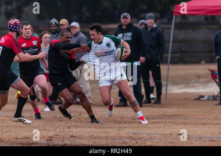 Pini del sud, North Carolina, Stati Uniti d'America. Il 23 febbraio, 2019. Febbraio 23, 2019 - pini del sud, N.C., STATI UNITI D'AMERICA - Carolinas Geographic Rugby Unione Uomini di Azione di rugby tra i pini del sud ''Grande coni'' e Charleston (Sud Carolina) fuorilegge Rugby Football Club a campi di Twin Farm. Pini del sud shut-out Charleston, 105-0. Credito: Timothy L. Hale/ZUMA filo/Alamy Live News Foto Stock