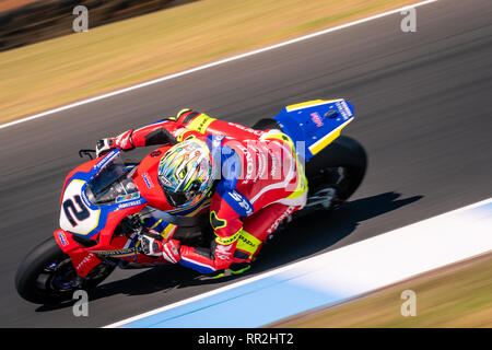 Melbourne, Australia. 24 Febbraio, 2019. MELBOURNE, Australia - 24 febbraio: Leon Camier 2 equitazione per Red Bull Honda World Superbike Team durante il 2019 MOTUL FIM Superbike World Championship sul circuito australiano di Phillip Island il 24 febbraio 2019. Credito: Dave Hewison sport/Alamy Live News Foto Stock