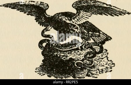 . Avventure tra gli uccelli. Uccelli -- la Gran Bretagna. 282 AVVENTURE TRA GLI UCCELLI questi grandi boschi per me perché io sono sempre purtroppo con- scious: miglia su miglia di legno, milioni di antichi alberi di nobile, un covo di poco alterate uccelli e domare i fagiani allevati e nutriti per il prossimo autunno sparare anche il guardiano che stabilisce il suo trappole per poco posizionando il mouse donnole, o aspettando pazientemente in nascosti tra il sottobosco di inviare una carica di pallini attraverso una rara Kestrel's Nest quando la madre-bird torna a mangimi e riscaldare la sua giovane.. Si prega di notare che queste immagini vengono estratte dalla pagina sottoposta a scansione immagini che possono avere bee Foto Stock