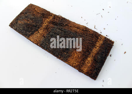 Una fetta di premuto il tabacco che cresce in Indonesia. Un primo piano. Foto Stock