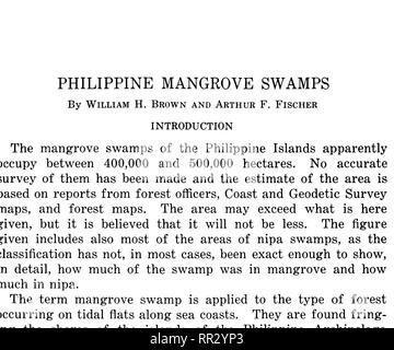 . Bollettino. Le foreste e la silvicoltura. Le paludi di mangrovie. Fig. 1. Guardando attraverso una palude di mangrovie alla testa della baia Tubugan, Porto Banga, Zamboanga. -* • ' • •.•••••• V ' . .-'•'?•''?':. •;. , •" ..'.V v " •• ? . • ,.L •" 1 Fig. 2. Paludi lungo la costa, sotto l'acqua a marea alta. Piastra II.. Si prega di notare che queste immagini vengono estratte dalla pagina sottoposta a scansione di immagini che possono essere state migliorate digitalmente per la leggibilità - Colorazione e aspetto di queste illustrazioni potrebbero non perfettamente assomigliano al lavoro originale. Filippine. Ufficio di presidenza della silvicoltura. Manila, l' Ufficio di presidenza della stampa Foto Stock