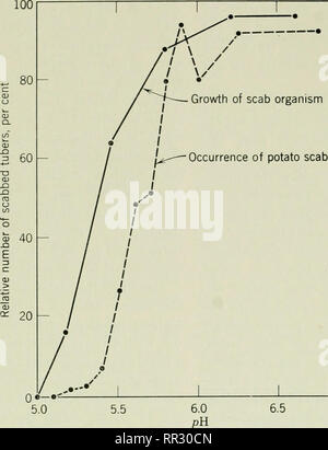 . Il actinomiceti. Actinomycetales. 268 Il actinomiceti, Vol. I. 12 10 7.0 Figura 104. Influenza del pH sull'growtli della crosta di patata organismo (riprodotto da: Dip- penaar, B. J. Unione Sudafricana Dept. Agr. Sci. Boll. 136: 68, 1933). variano con l'umidità di suolo o terreno re- azione. Aumentare l'umidità del suolo è diminuita la quantità di crosta a tutte le temperature del suolo e in tutti i tipi di suolo utilizzato e aumentato la resa di patate. Umidità inferiore è stata necessaria per il comando di crosta a 13 e a 25°C rispetto a entrambi i 17 o 21 °C. La malattia in attiva crescita dei tuberi è stata controllata da incrementato Foto Stock