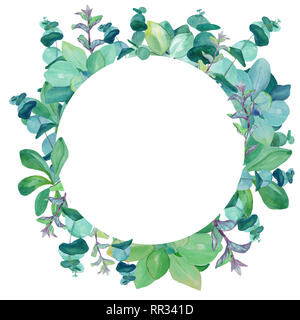 Acquerello disegnata a mano telaio del baby blue eucalipto, decorativi ortica, menta, succulente. Design botanico per imballaggio, sfondo, biglietti d'auguri. Foto Stock