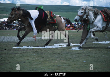 Didascalia: Litang, Sichuan, in Cina - Ago 2003. Cavalieri Khampa prelievo di sciarpe di seta da terra come loro destriero galoppo a piena velocità a cavallo Ra Foto Stock