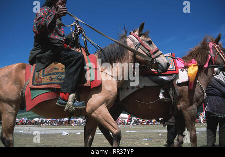 Didascalia: Litang, Sichuan, in Cina - Ago 2003. Cavalieri Khampa all'Horse Racing Festival in Litang, ex regno tibetana di Kham. Tenuta una volta per voi Foto Stock