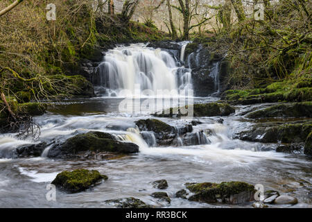 Covenanters cascata, Santo Linn, Garple masterizzare, vicino a St Johns Town di Dalry, Dumfries & Galloway, Scozia Foto Stock