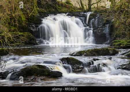 Covenanters cascata, Santo Linn, Garple masterizzare, vicino a St Johns Town di Dalry, Dumfries & Galloway, Scozia Foto Stock