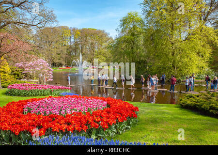 Il Keukenhof famoso fiori colorati giardini Lisse Paesi Bassi Foto Stock