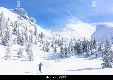 Puchberg am Schneeberg: montagna Schneeberg faccia Ovest, rift Wurzengraben, tour di sci tourer, coperta di neve abete rosso, conifere a Wiener Alpen, Alpi Niederö Foto Stock
