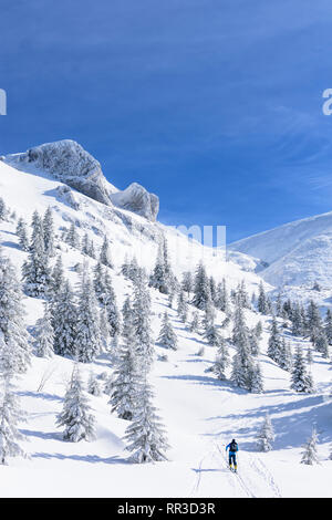 Puchberg am Schneeberg: montagna Schneeberg faccia Ovest, rift Wurzengraben, tour di sci tourer, coperta di neve abete rosso, conifere a Wiener Alpen, Alpi Niederö Foto Stock