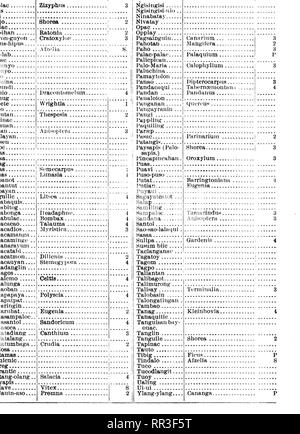 . Relazione annuale del direttore della silvicoltura. Le foreste e la silvicoltura. . Si prega di notare che queste immagini vengono estratte dalla pagina sottoposta a scansione di immagini che possono essere state migliorate digitalmente per la leggibilità - Colorazione e aspetto di queste illustrazioni potrebbero non perfettamente assomigliano al lavoro originale. Filippine. Ufficio di presidenza della silvicoltura; realizzazione di America Progetto; Filippine. Ufficio di presidenza della silvicoltura. Relazione annuale del direttore della silvicoltura. Manila [ecc. ] Foto Stock