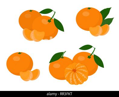 Mandarini, mandarino e clementine con foglie isolati su sfondo bianco. Gli agrumi. Illustrazione Vettoriale impostato Illustrazione Vettoriale