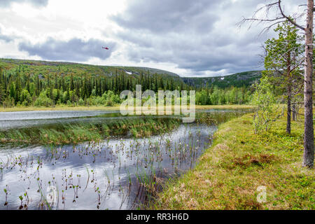 Lago forestale nel bosco con un elicottero nel cielo Foto Stock