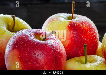 Primo piano di mele arge, mature, rosse e gialle decorate con scintillanti goccioline d'acqua sono disposte in modo ordinato l'una accanto all'altra su uno sfondo scuro e ombroso. Foto Stock