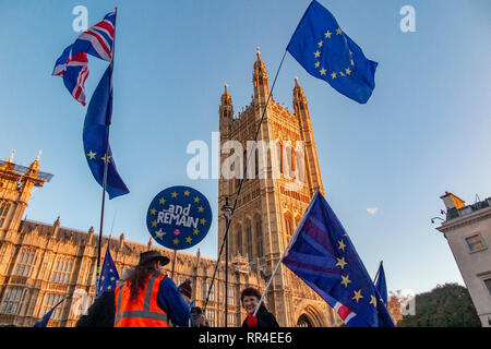 Londra, UK.28 gennaio 2019; Pro e anti Brexit dimostranti fuori le case del Parlamento Foto Stock