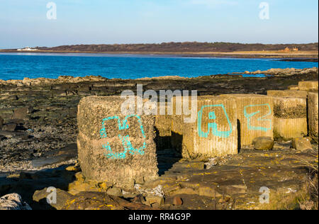 II Guerra Mondiale reliquie: graffiti su calcestruzzo anti blocchi del serbatoio sulla costa, Longniddry, East Lothian, Scozia, Regno Unito Foto Stock