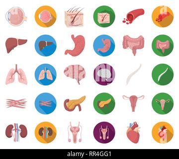 Anatomia,l'arte,boold,cervello,cartoon,appartamento,raccolta,design,malattia,eyeball,carne,,gastrointestinale la salute,cuore,uomo,icona,immagine,,interno isolato,rene,fegato,logo,polmoni,maschio, la medicina, bocca,muscolo,organo,pancreas,,riproduttiva impostare,segno,pelle,colonna vertebrale,stomaco,il simbolo,sistema,tratto,utero,vettore,nave,web, Vettori vettore , Illustrazione Vettoriale