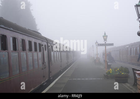 Kidderminster, Regno Unito. Il 24 febbraio, 2019. Regno Unito meteo: nonostante la fitta nebbia mattutina in Worcestershire, niente smorza lo spirito dei volontari dedicati a Severn Valley Railway; la foschia mattutina fornendo un suggestivo e pittoresco di iniziare la giornata per i passeggeri di salire a bordo di questi treni d'epoca. Credito: Lee Hudson/Alamy Live News Foto Stock