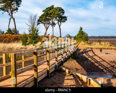 John Muir Country Park, Dunbar, East Lothian, Scozia, Regno Unito, 24 febbraio 2019. Regno Unito: Meteo glorioso sole sulla costa su un insolitamente caldo soleggiata giornata invernale con un paio di camminare un cane sul sentiero costiero a Hedderwick Sands con una passerella in legno Foto Stock