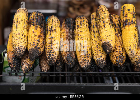 I tutoli di mais arrostito sul fuoco e grigliate di mais, in vendita al mercato delle pulci. Foto Stock