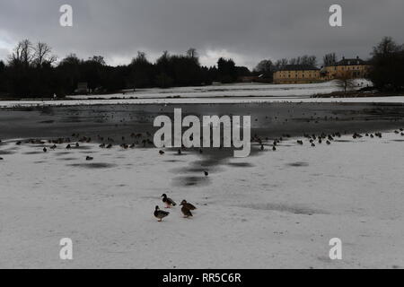 Hardwick Hall Country Park, Sedgefield, Co. Durham, TS21 2EH Foto Stock