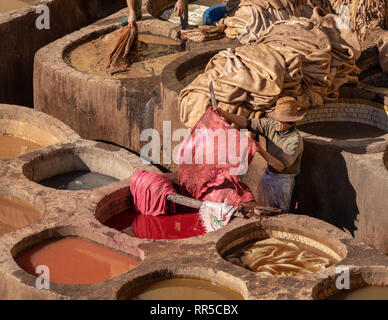 Lavoratori presso il colorante tini, Chouara conceria, Fes, Marocco Foto Stock
