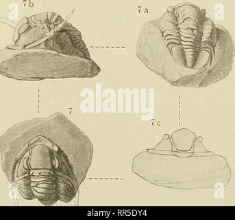 . Abhandlungen zur geologischen Specialkarte von Preussen und den Thüringischen Staaten. . Si prega di notare che queste immagini vengono estratte dalla pagina sottoposta a scansione di immagini che possono essere state migliorate digitalmente per la leggibilità - Colorazione e aspetto di queste illustrazioni potrebbero non perfettamente assomigliano al lavoro originale. Preussische Geologische Landesanstalt. Berlino : Neumann'schen Kartenhandlung Foto Stock