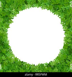 Cornice circolare di foglie verdi. Il verde delle foglie. Fustellato per la scheda. Illustrazione Vettoriale