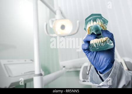 Vista ritagliata di dentista in guanto in lattice che mantiene i denti modello in mano Foto Stock