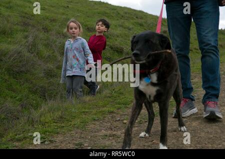 Una famiglia passeggiate il suo cane sulla collina di cavallo a Marin County. Questo parco pubblico è un buon posto per una gita di famiglia. Foto Stock