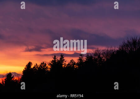 Alberi sagome contro un colore bellissimo cielo al tramonto, con montagne di strati in background Foto Stock