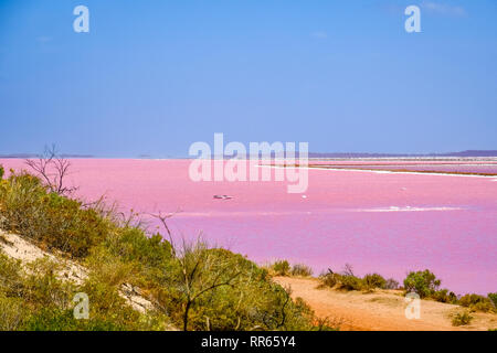 Spiaggia al lago rosa accanto a Gregorio in Australia Occidentale Foto Stock