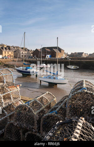 Le trappole a base di aragosta sulla banchina e yacht in Gourdon Harbour con la bassa marea sulla costa nord-est della Scozia. Foto Stock