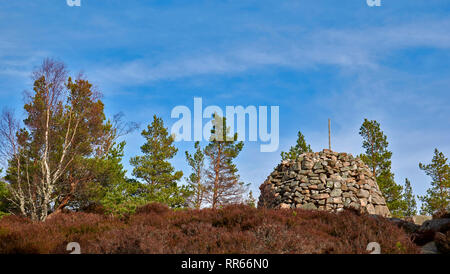 Passeggiata CRAIGENDARROCH ABERDEENSHIRE a Ballater Scozia la principale CAIRN in cima alla collina Foto Stock