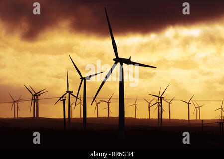 Vista di turbine eoliche al tramonto a Blacklaw Wind Farm in Scozia, Regno Unito Foto Stock