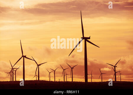 Vista di turbine eoliche al tramonto a Blacklaw Wind Farm in Scozia, Regno Unito Foto Stock