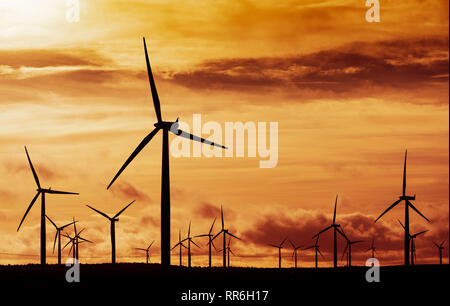 Vista di turbine eoliche al tramonto a Blacklaw Wind Farm in Scozia, Regno Unito Foto Stock