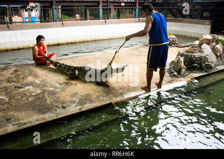 Crocodile Wrestling Show per il popolo Thai e viaggiatori foriegner guardando a Samphran Elephant Terra e Crocodile Farm su luglio 17, 2018 in Nakhon Pha Foto Stock