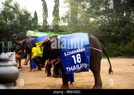 Tema di elefante mostrano per il popolo Thai e viaggiatori foriegner guardando a Samphran Elephant Terra e Crocodile Farm su luglio 17, 2018 in Nakhon virtuale, Foto Stock