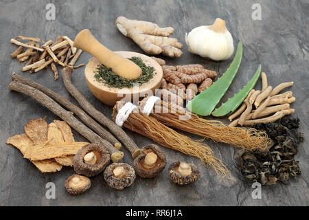 Cibo Adaptogen selezione con erbe e spezie. Utilizzato in medicina di erbe per aiutare il corpo a guarire l'effetto dannoso di stress. Foto Stock