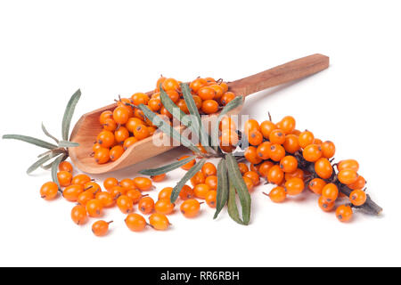 Frangola bacche con foglie in una paletta di legno isolato su sfondo bianco Foto Stock