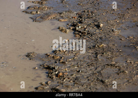 Viste generali di camminare nel fango del Slindon station wagon, West Sussex, Regno Unito. Foto Stock