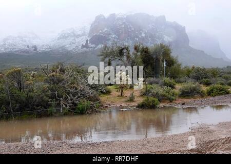 Una tempesta di neve ha colpito il deserto di Phoenix che copre il Superstition Mountains, in particolare Lost Dutchman State Park, nella neve. Foto Stock